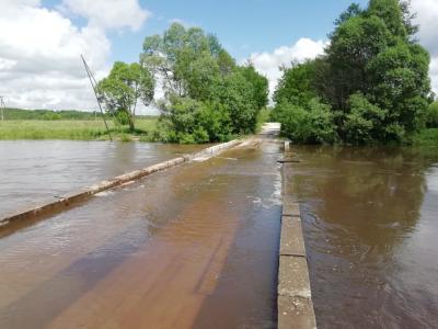 В Сапожковском районе подтопило низководный мост